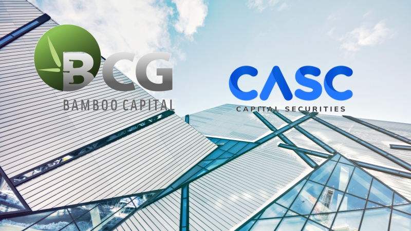 (CASC) - Bamboo Financial Corp (BFC) trở thành cổ đông lớn của CASC.