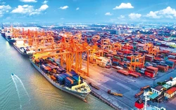 Nền kinh tế Việt Nam đứng thứ 22 thế giới?