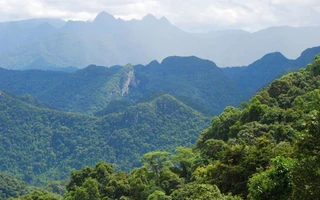 Việt Nam sẽ có “Bà Nà Hills thứ 2” rộng gần 170ha nằm trên ngọn núi cao 1.000m, có tuyến cáp treo kết nối