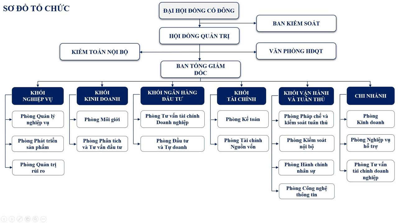 Cơ cấu tổ chức